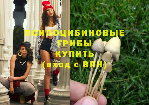 эйфоретик Красноперекопск