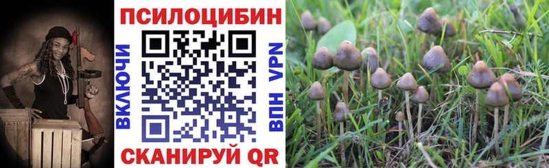 Галлюциногенные грибы GOLDEN TEACHER  Купить где  Светлый 
